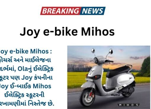 Joy e-bike Mihos