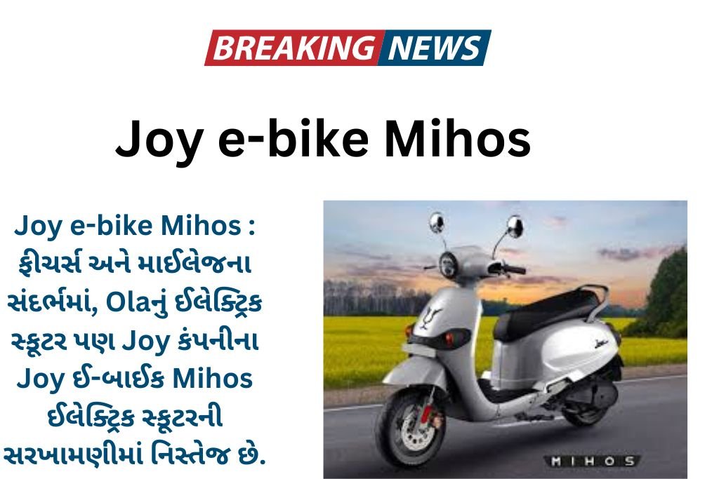 Joy e-bike Mihos