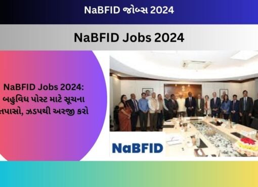 NaBFID Jobs 2024