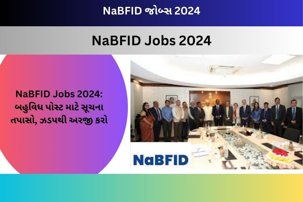 NaBFID Jobs 2024