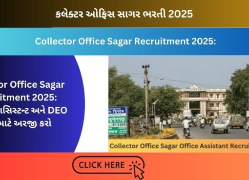 Collector Office Sagar Recruitment 2025: